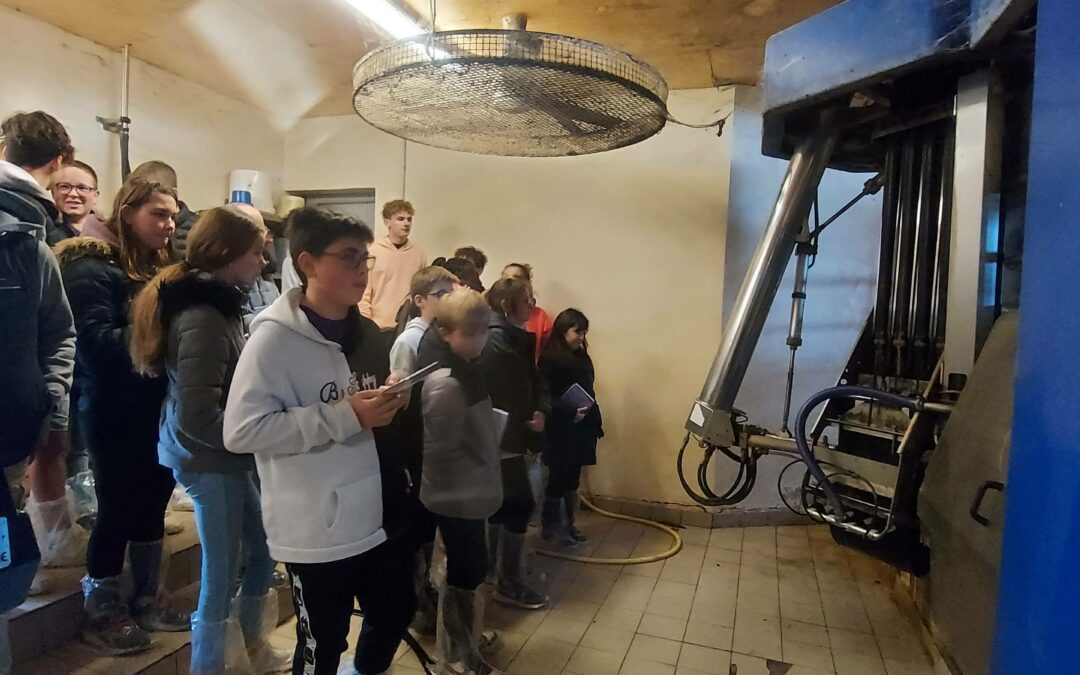 Visite d’une entreprise agricole